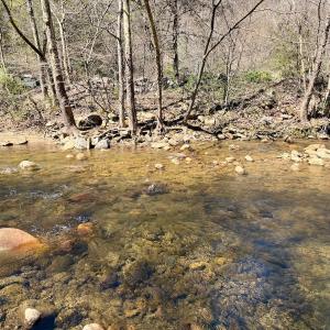 Photo #16 of Off of Greens Chapel Lane, Dungannon, VA 60.5 acres