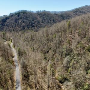 Photo #18 of Off of Greens Chapel Lane, Dungannon, VA 60.5 acres