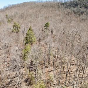 Photo #19 of Off of Greens Chapel Lane, Dungannon, VA 60.5 acres