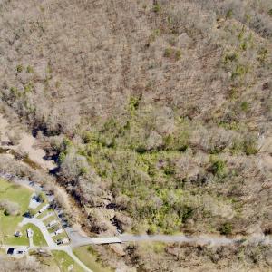 Photo #2 of Off of Greens Chapel Lane, Dungannon, VA 60.5 acres