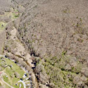 Photo #21 of Off of Greens Chapel Lane, Dungannon, VA 60.5 acres