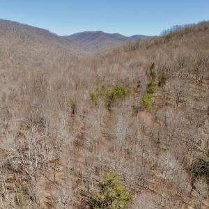 Photo #3 of Off of Greens Chapel Lane, Dungannon, VA 60.5 acres