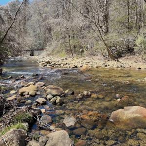 Photo #4 of Off of Greens Chapel Lane, Dungannon, VA 60.5 acres