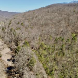 Photo #6 of Off of Greens Chapel Lane, Dungannon, VA 60.5 acres