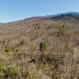 Photo #8 of Off of Greens Chapel Lane, Dungannon, VA 60.5 acres