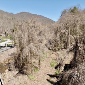 Photo #26 of Off of Greens Chapel Lane, Dungannon, VA 60.5 acres