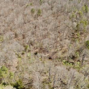 Photo #33 of Off of Greens Chapel Lane, Dungannon, VA 60.5 acres