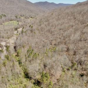 Photo #34 of Off of Greens Chapel Lane, Dungannon, VA 60.5 acres