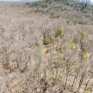 Photo #35 of Off of Greens Chapel Lane, Dungannon, VA 60.5 acres