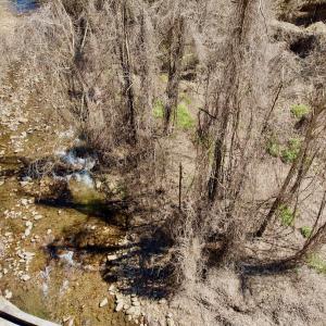 Photo #27 of Off of Greens Chapel Lane, Dungannon, VA 60.5 acres