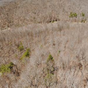 Photo #37 of Off of Greens Chapel Lane, Dungannon, VA 60.5 acres