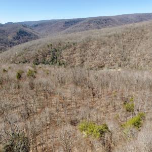 Photo #38 of Off of Greens Chapel Lane, Dungannon, VA 60.5 acres