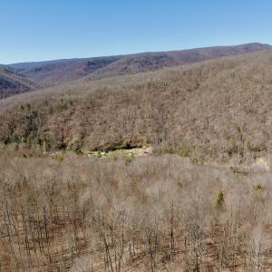 Photo #39 of Off of Greens Chapel Lane, Dungannon, VA 60.5 acres