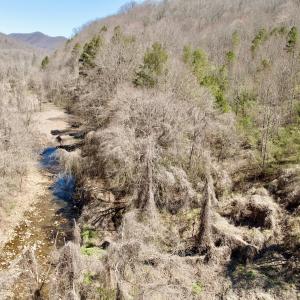 Photo #28 of Off of Greens Chapel Lane, Dungannon, VA 60.5 acres