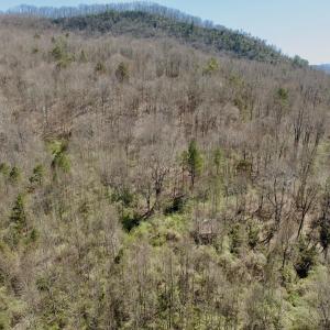 Photo #31 of Off of Greens Chapel Lane, Dungannon, VA 60.5 acres