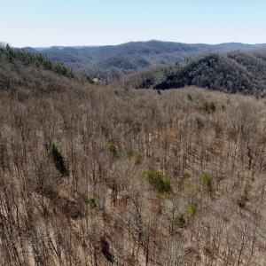 Photo #40 of Off of Greens Chapel Lane, Dungannon, VA 60.5 acres