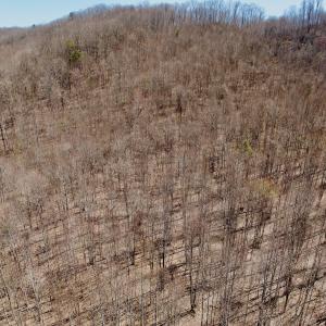 Photo #41 of Off of Greens Chapel Lane, Dungannon, VA 60.5 acres