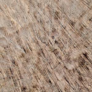 Photo #42 of Off of Greens Chapel Lane, Dungannon, VA 60.5 acres