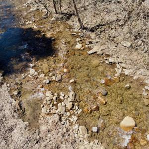 Photo #47 of Off of Greens Chapel Lane, Dungannon, VA 60.5 acres