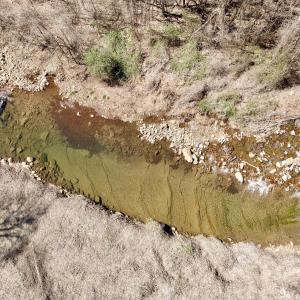 Photo #50 of Off of Greens Chapel Lane, Dungannon, VA 60.5 acres