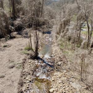 Photo #53 of Off of Greens Chapel Lane, Dungannon, VA 60.5 acres