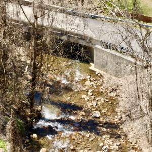 Photo #55 of Off of Greens Chapel Lane, Dungannon, VA 60.5 acres