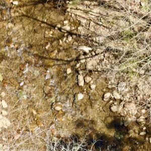 Photo #57 of Off of Greens Chapel Lane, Dungannon, VA 60.5 acres