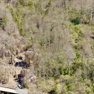 Photo #58 of Off of Greens Chapel Lane, Dungannon, VA 60.5 acres