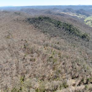 Photo #59 of Off of Greens Chapel Lane, Dungannon, VA 60.5 acres