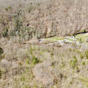 Photo #61 of Off of Greens Chapel Lane, Dungannon, VA 60.5 acres