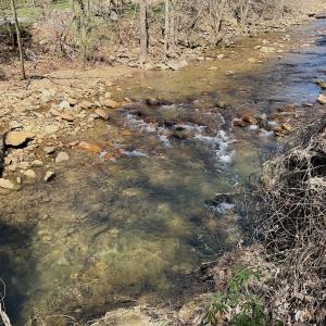 Photo #63 of Off of Greens Chapel Lane, Dungannon, VA 60.5 acres