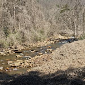 Photo #65 of Off of Greens Chapel Lane, Dungannon, VA 60.5 acres
