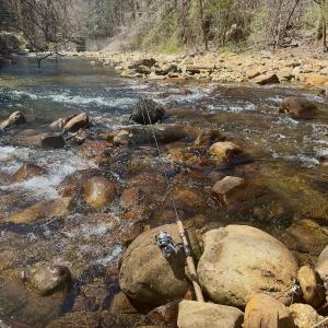 Photo #66 of Off of Greens Chapel Lane, Dungannon, VA 60.5 acres