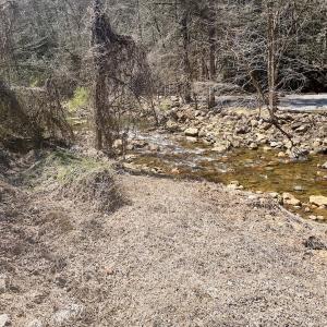 Photo #67 of Off of Greens Chapel Lane, Dungannon, VA 60.5 acres