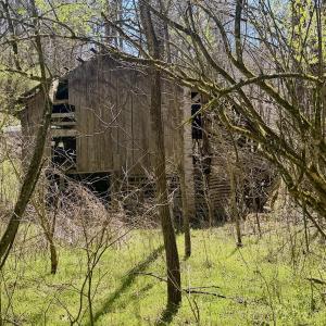 Photo #68 of Off of Greens Chapel Lane, Dungannon, VA 60.5 acres