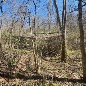 Photo #69 of Off of Greens Chapel Lane, Dungannon, VA 60.5 acres