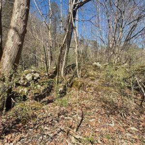 Photo #70 of Off of Greens Chapel Lane, Dungannon, VA 60.5 acres