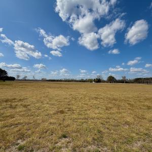Photo #10 of  Off of Black Mingle Road, Gates, NC 82.0 acres