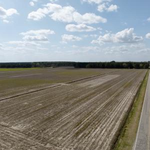 Photo #14 of  Off of Black Mingle Road, Gates, NC 82.0 acres