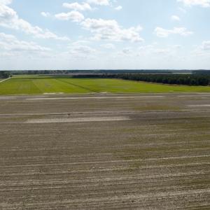 Photo #1 of  Off of Black Mingle Road, Gates, NC 82.0 acres