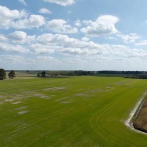 Photo #2 of  Off of Black Mingle Road, Gates, NC 82.0 acres