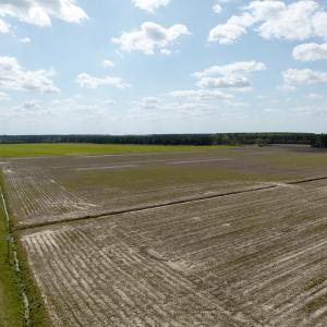 Photo #6 of  Off of Black Mingle Road, Gates, NC 82.0 acres