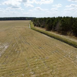 Photo #7 of  Off of Black Mingle Road, Gates, NC 82.0 acres
