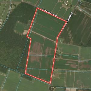 Photo #19 of  Off of Black Mingle Road, Gates, NC 82.0 acres