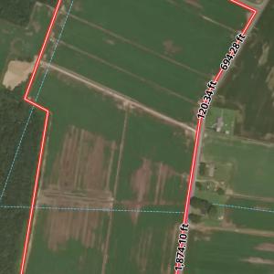 Photo #20 of  Off of Black Mingle Road, Gates, NC 82.0 acres