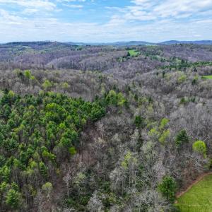 Photo #2 of 311 Dan River Rd, Meadows of Dan, VA 116.3 acres