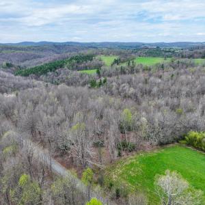 Photo #3 of 311 Dan River Rd, Meadows of Dan, VA 116.3 acres