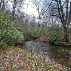 Photo #4 of 311 Dan River Rd, Meadows of Dan, VA 116.3 acres