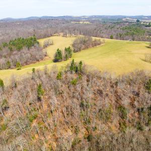 Photo #24 of 311 Dan River Rd, Meadows of Dan, VA 116.3 acres