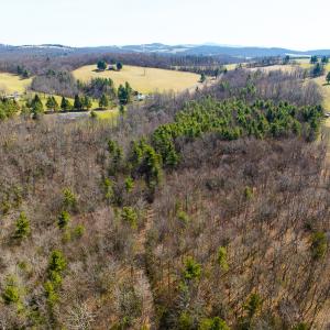 Photo #25 of 311 Dan River Rd, Meadows of Dan, VA 116.3 acres